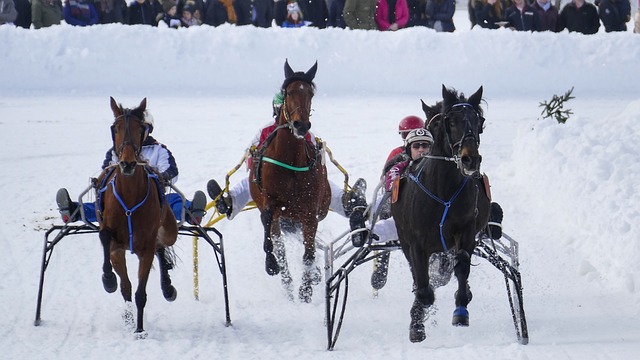 和联盟强队 和联盟强队