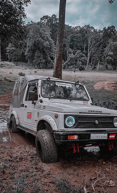 為球隊帶來 為球隊帶來