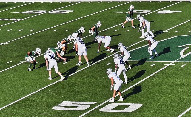 欧洲杯与美 欧洲杯与美