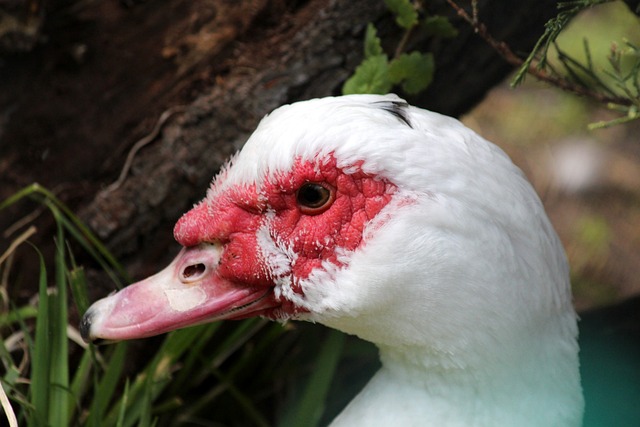 赛事的洗礼 赛事的洗礼