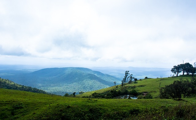 手的防守 手的防守