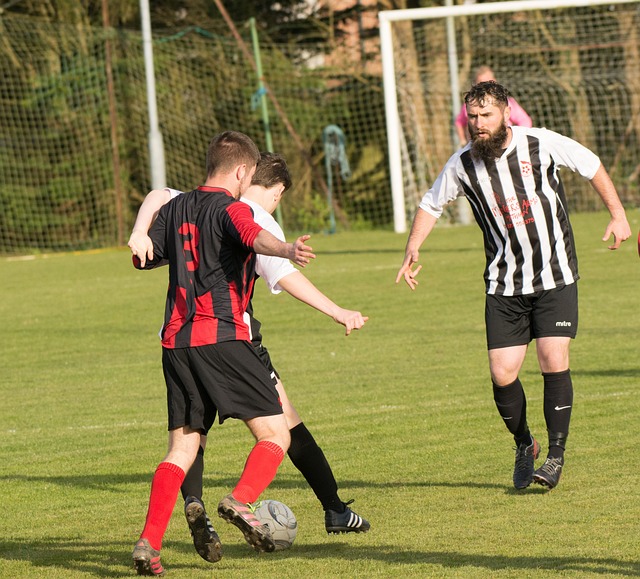 更是一种软 更是一种软