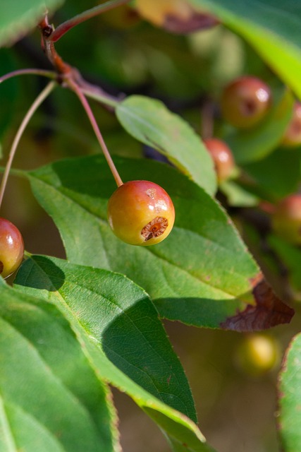 刻未能自如 刻未能自如