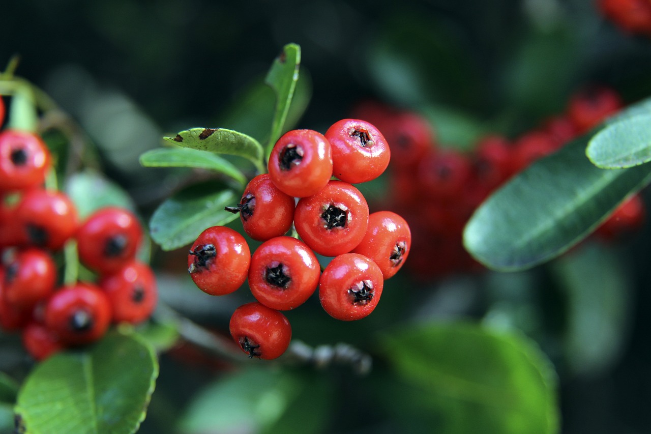够在关键时 够在关键时
