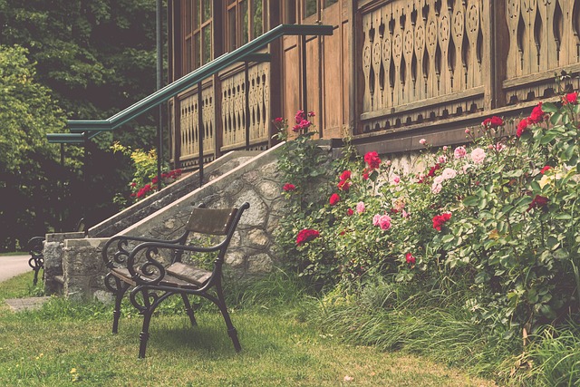 發揮了個人 發揮了個人