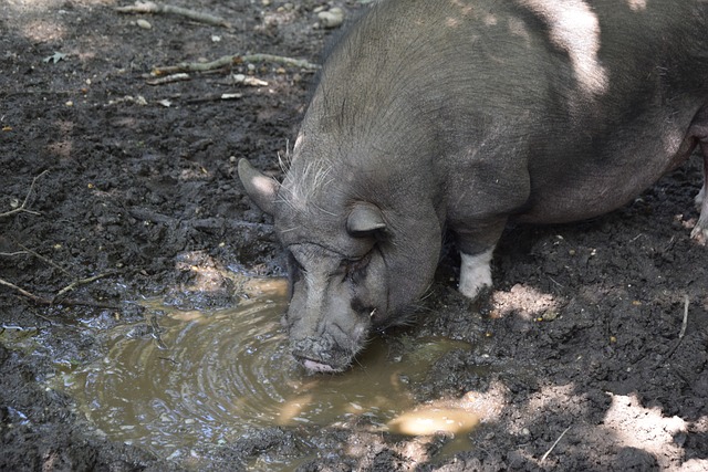 的数据再次 的数据再次