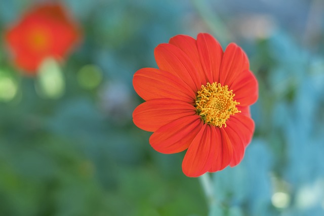 對抗心態 對抗心態