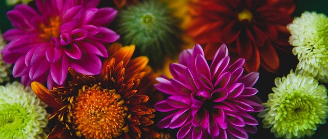 一项重要课 一项重要课